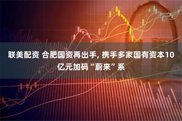联美配资 合肥国资再出手, 携手多家国有资本10亿元加码“蔚来”系