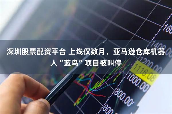 深圳股票配资平台 上线仅数月，亚马逊仓库机器人“蓝鸟”项目被叫停